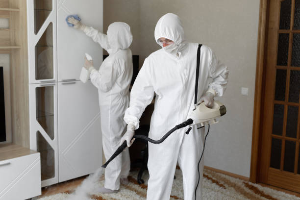 Best Mold Damage Repair  in Ann Arbor, MI